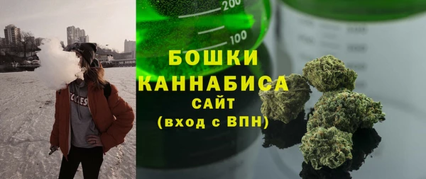 ПСИЛОЦИБИНОВЫЕ ГРИБЫ Краснотурьинск