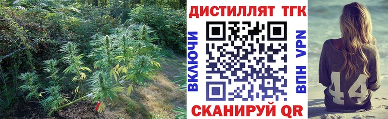 Купить закладки Новочеркасск Дистиллят ТГК гашишное масло